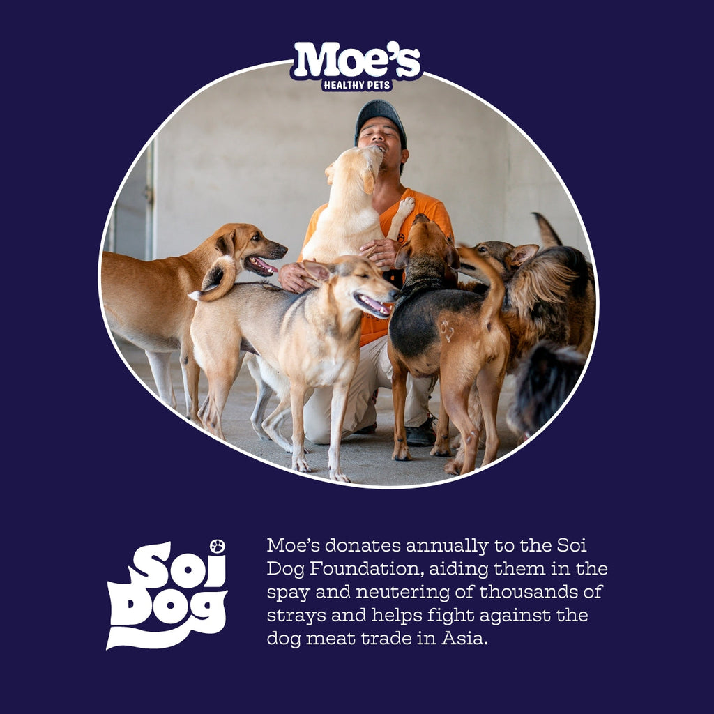 Hip & Joint Chews — Glucosamine + MSM Daily Support