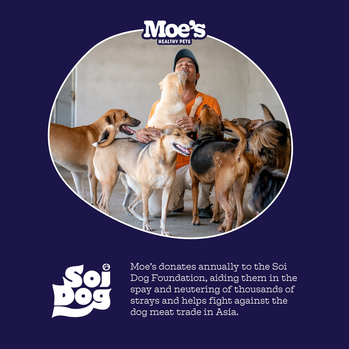 Hip & Joint Chews — Glucosamine + MSM Daily Support