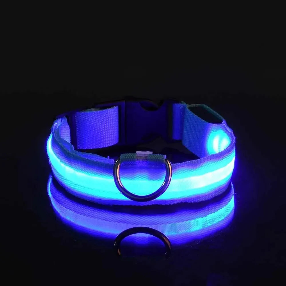 LED Safety Collar — Night-Walk Visibility for Every Pace
