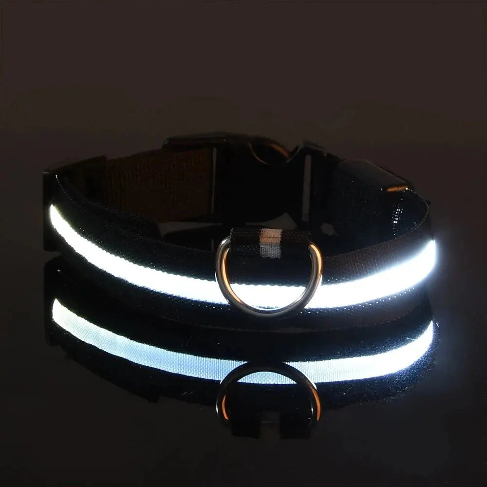 LED Safety Collar — Night-Walk Visibility for Every Pace