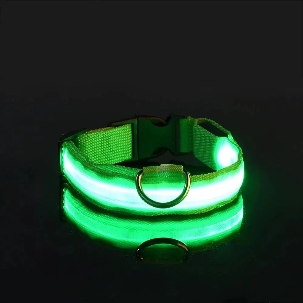 LED Safety Collar — Night-Walk Visibility for Every Pace