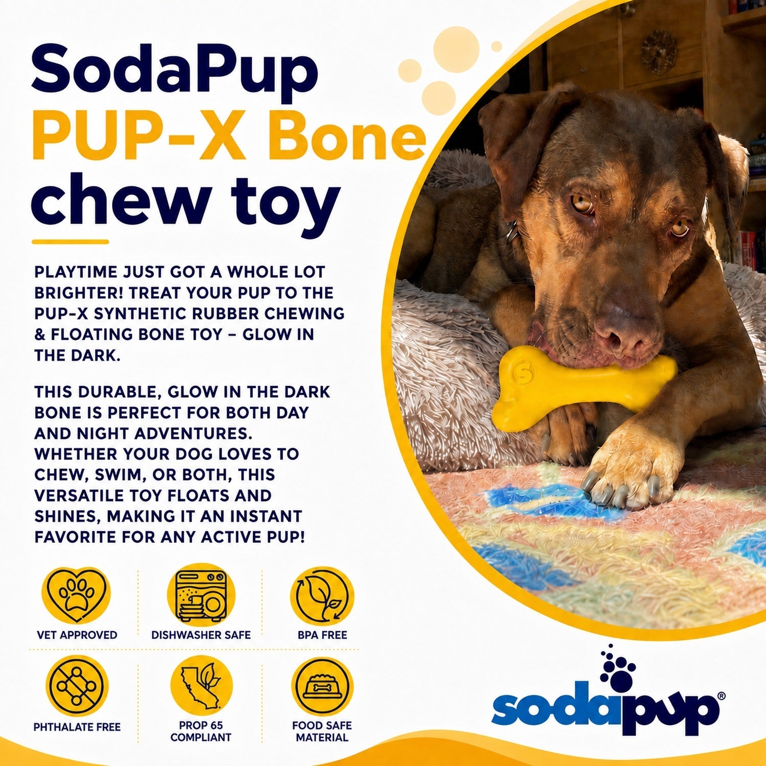 PUP-X Rubber Bone — Durable, Floats, Made in USA