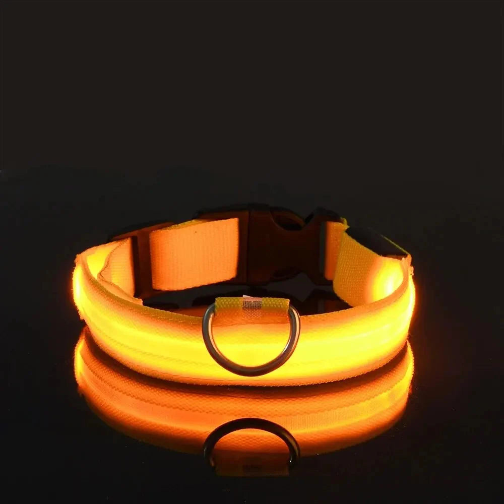 LED Safety Collar — Night-Walk Visibility for Every Pace