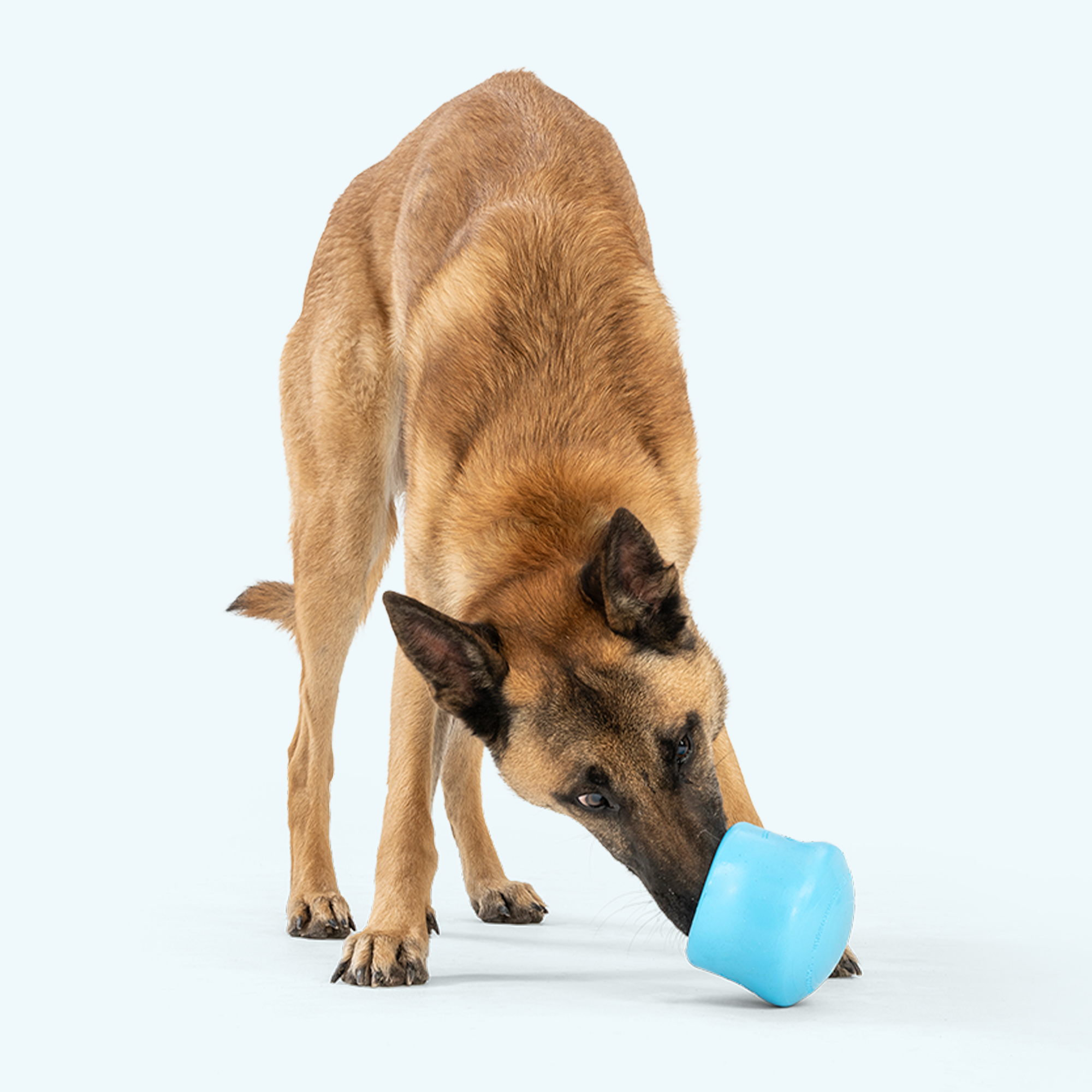 Toppl Treat Puzzle — Slow-Feed Enrichment Toy by West Paw