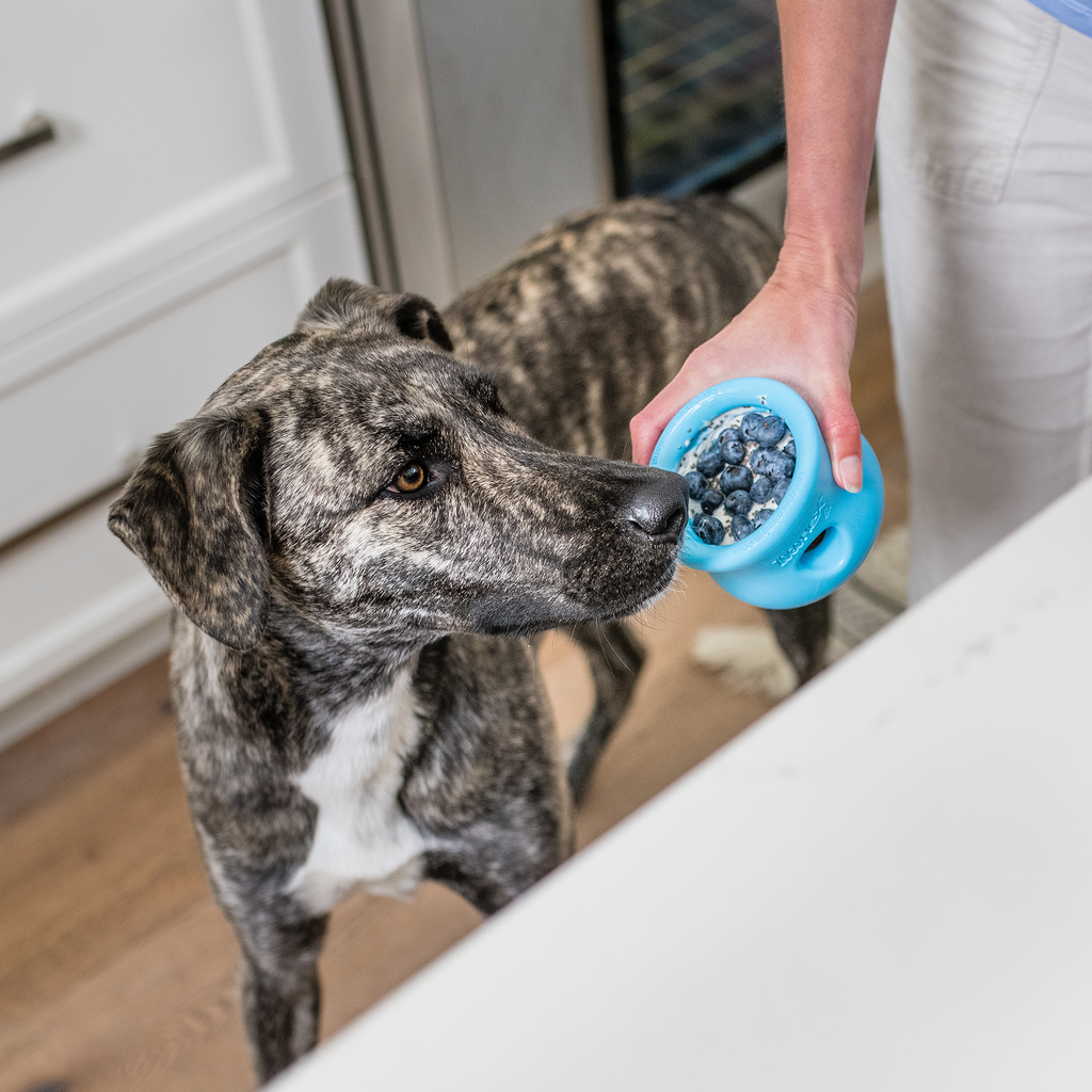 Toppl Treat Puzzle — Slow-Feed Enrichment Toy by West Paw