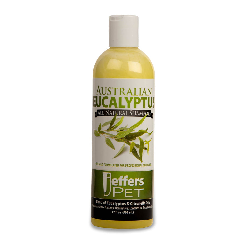 Eucalyptus Shampoo — All-Natural, Helps Repel Pests