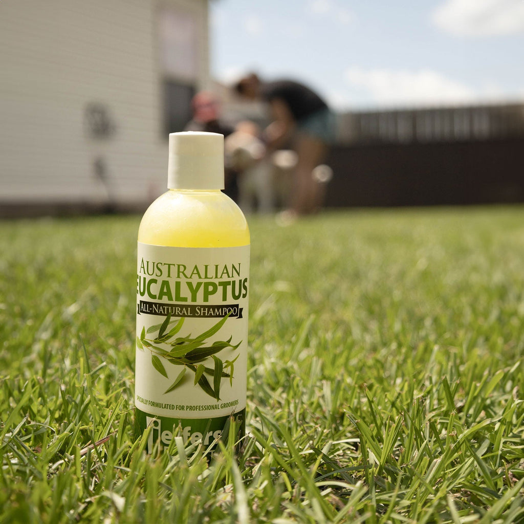 Eucalyptus Shampoo — All-Natural, Helps Repel Pests
